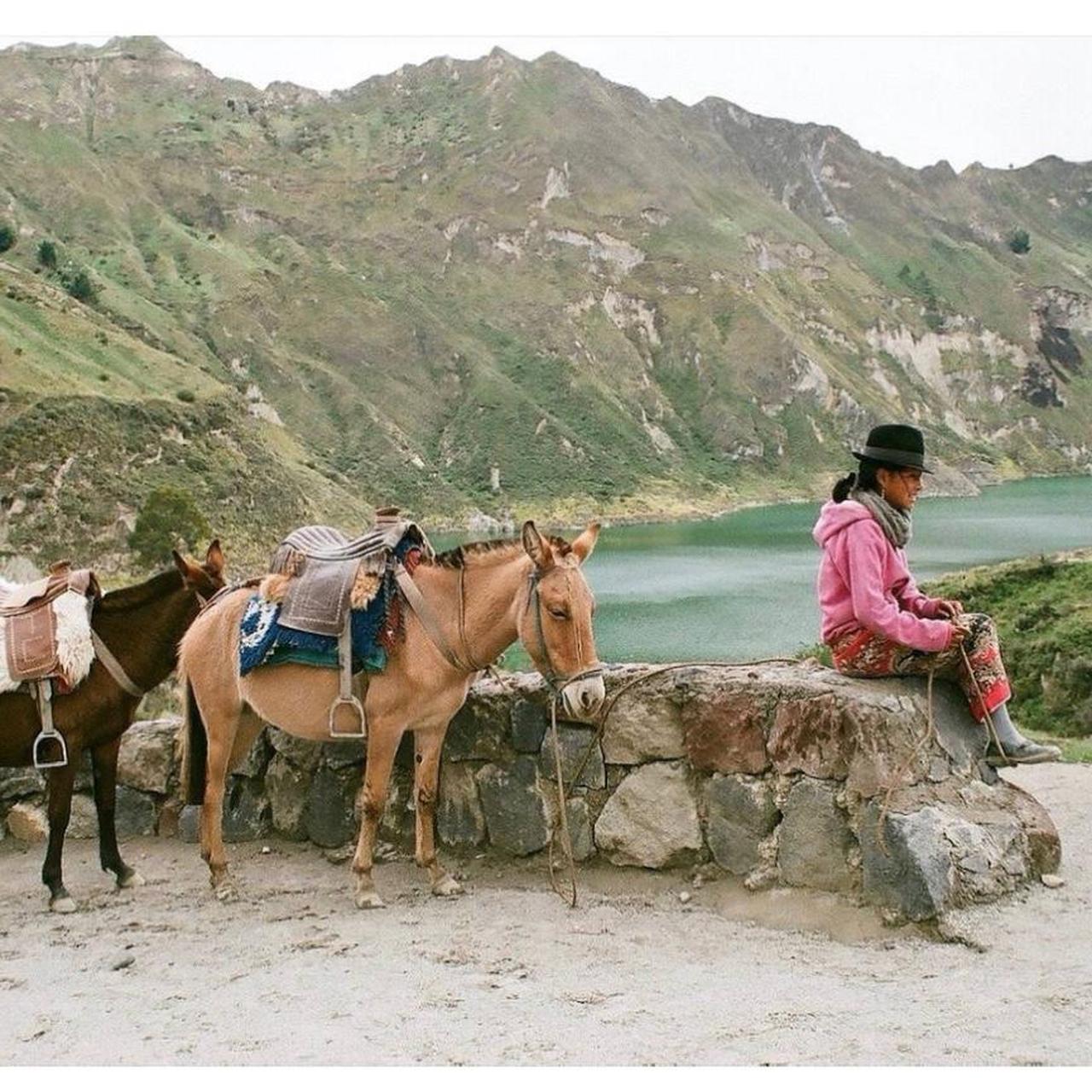 Canon Silver and Grey Cameras-and-accessories