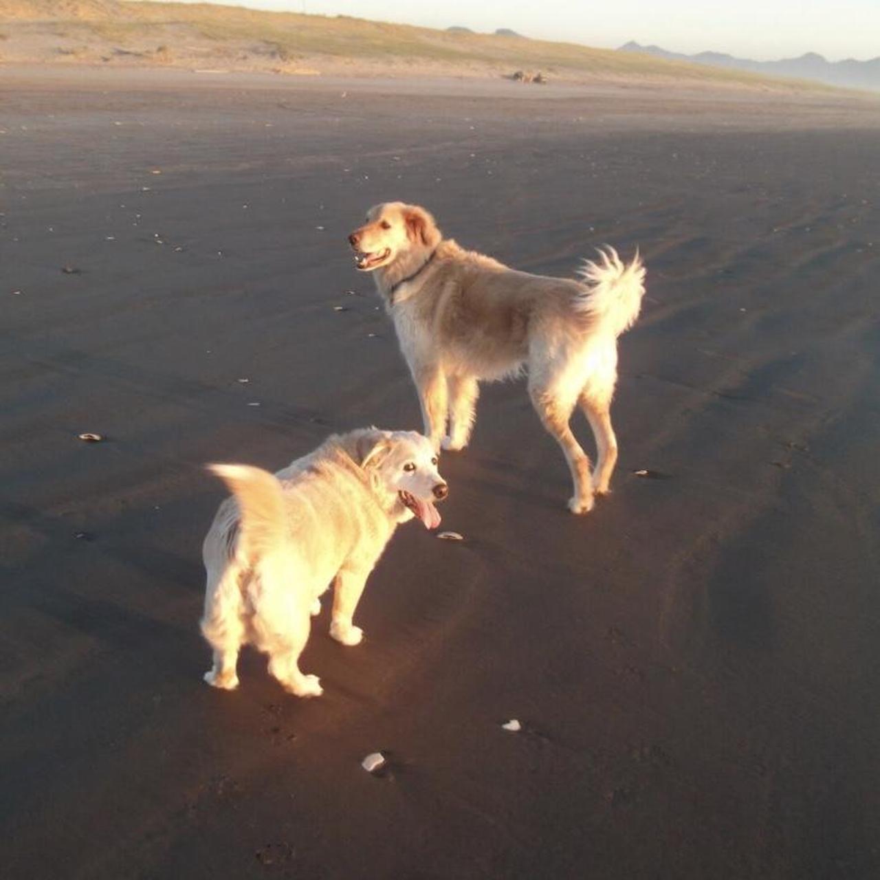 Fujifilm Black Cameras-and-accessories