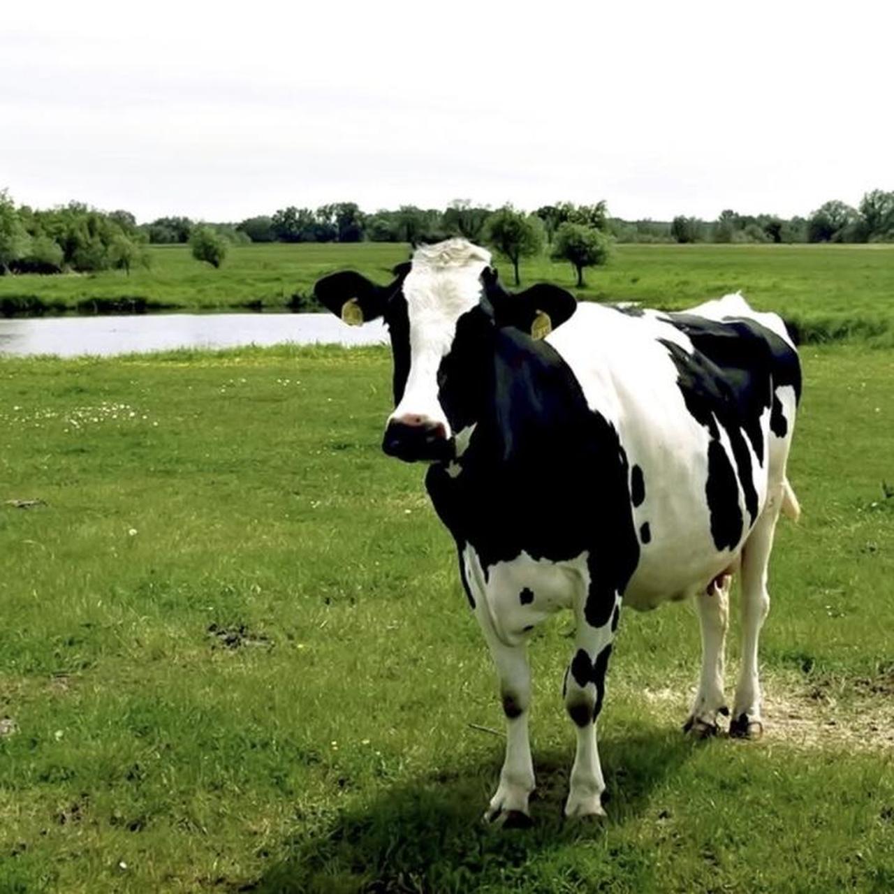 Fujifilm Black Cameras-and-accessories