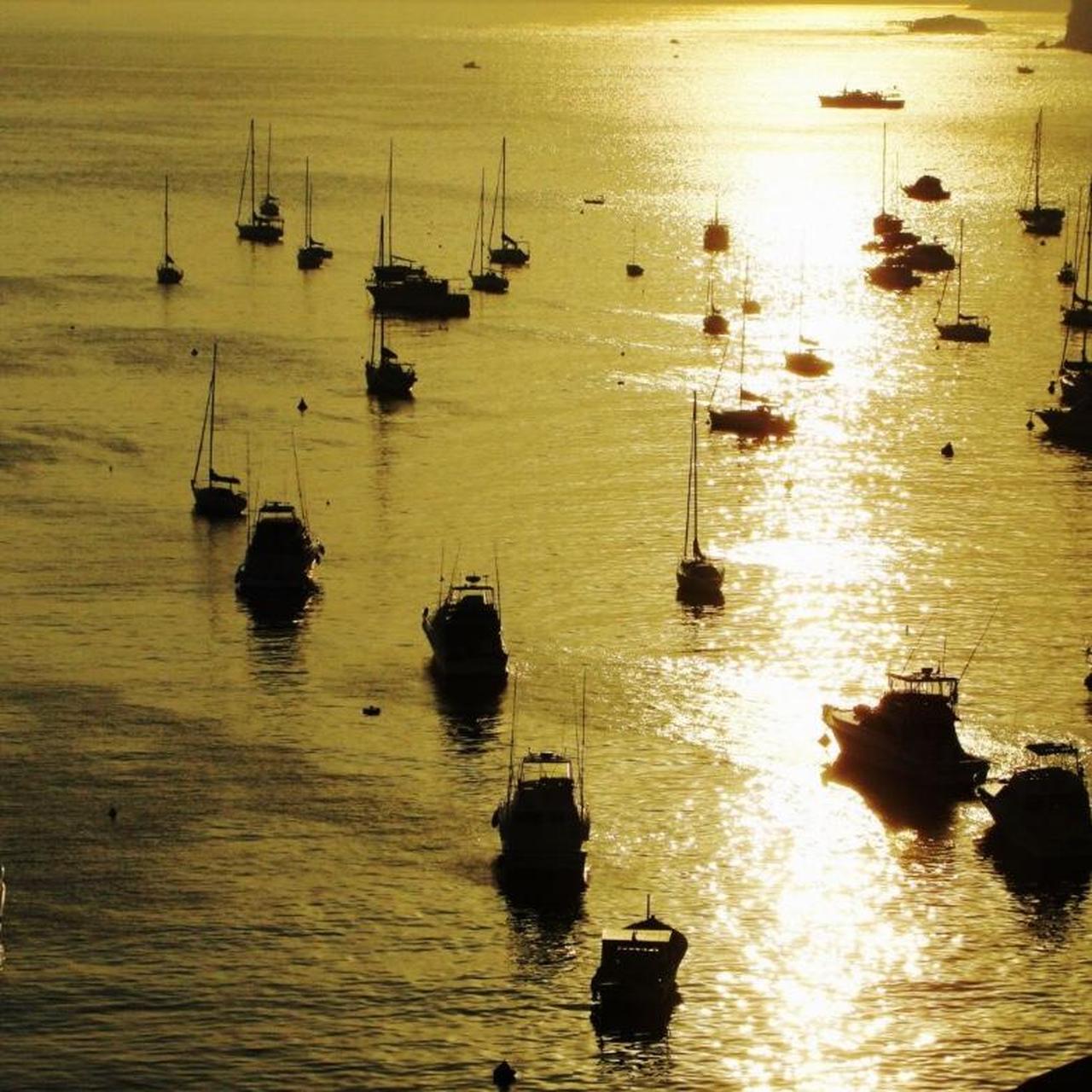 Sony Black Cameras-and-accessories