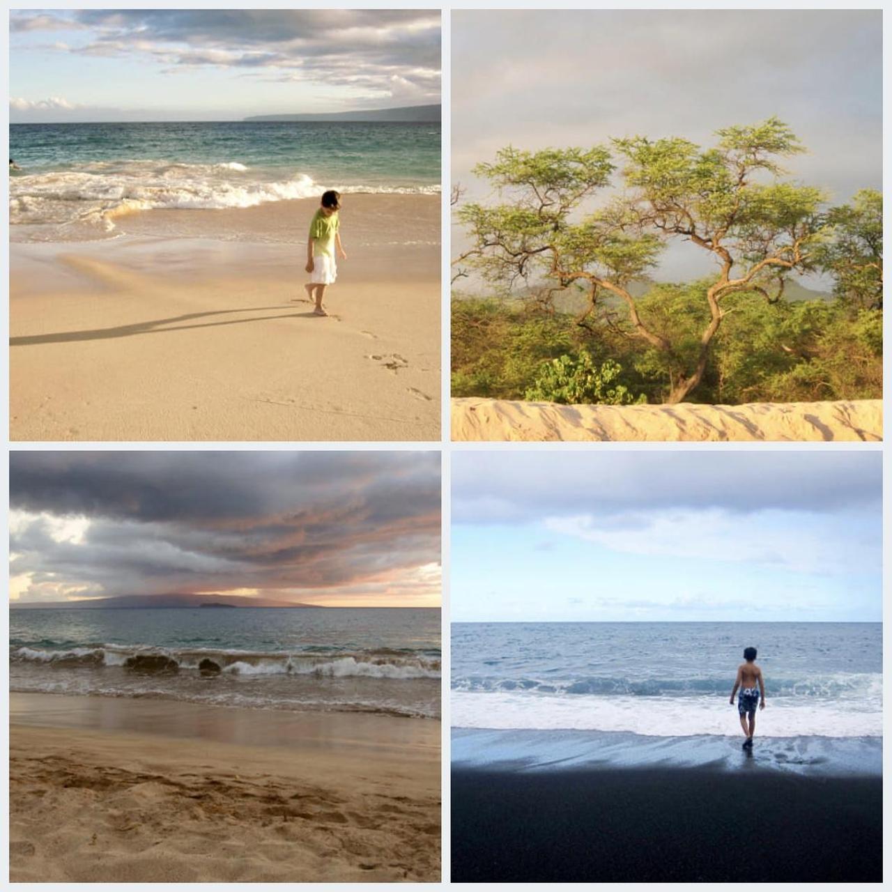 Canon Red Cameras-and-accessories