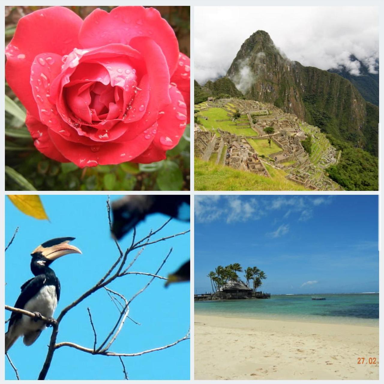 Nikon Red Cameras-and-accessories