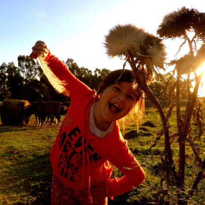 Samsung TL225 | dual screen 12.2 megapixel digital camera