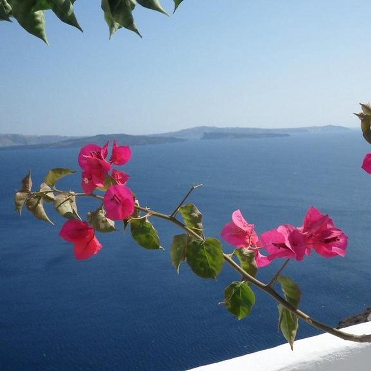 Samsung TL225 | dual screen 12.2 megapixel digital camera