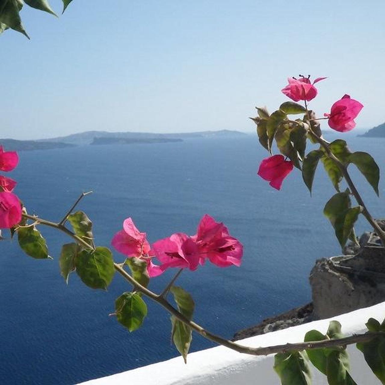 Samsung Black and Red Cameras-and-accessories