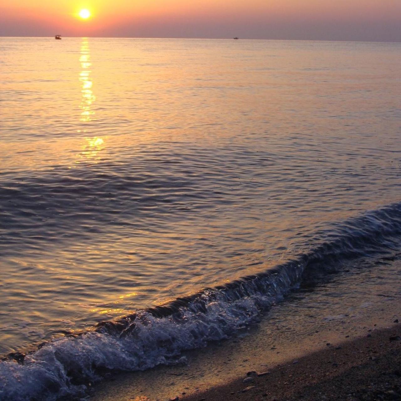 Sony Black Cameras-and-accessories