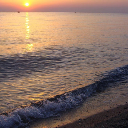 Sony Black Cameras-and-accessories