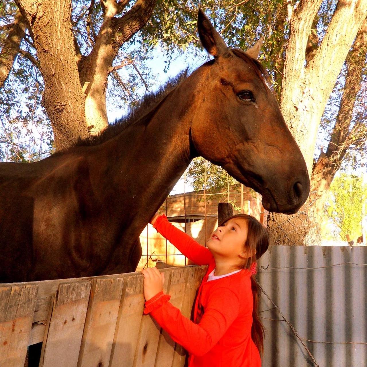 Samsung TL225 | dual screen 12.2 megapixel digital camera