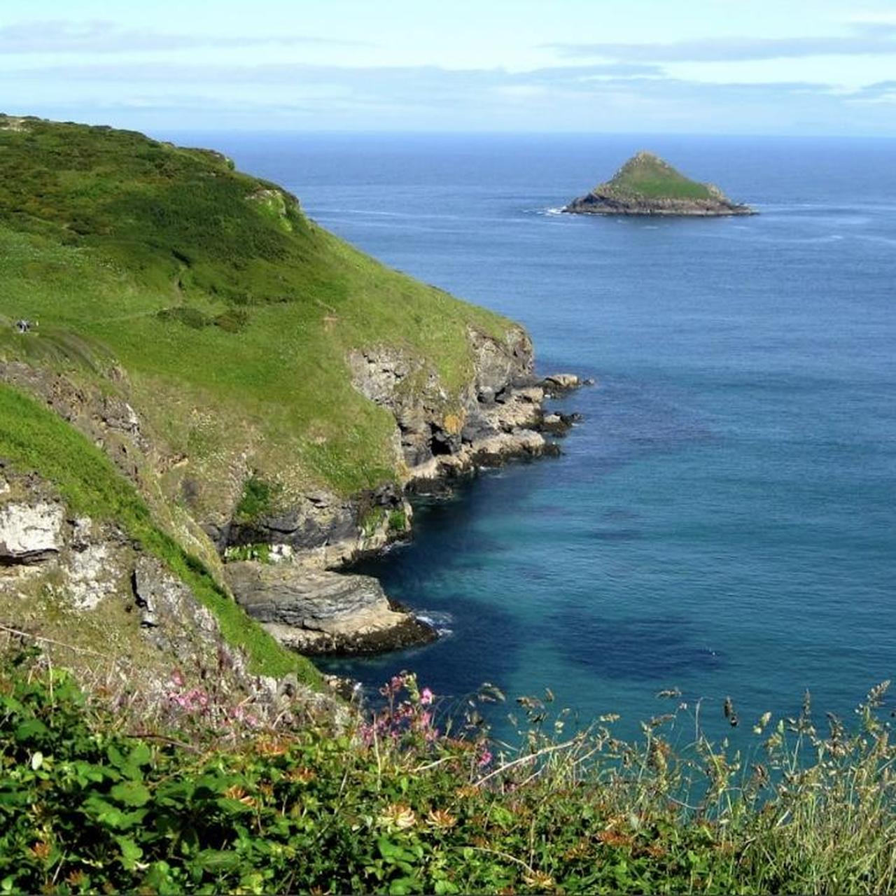 Canon Red and Burgundy Cameras-and-accessories