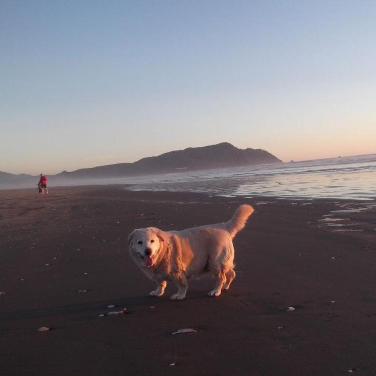 Fujifilm Black Cameras-and-accessories