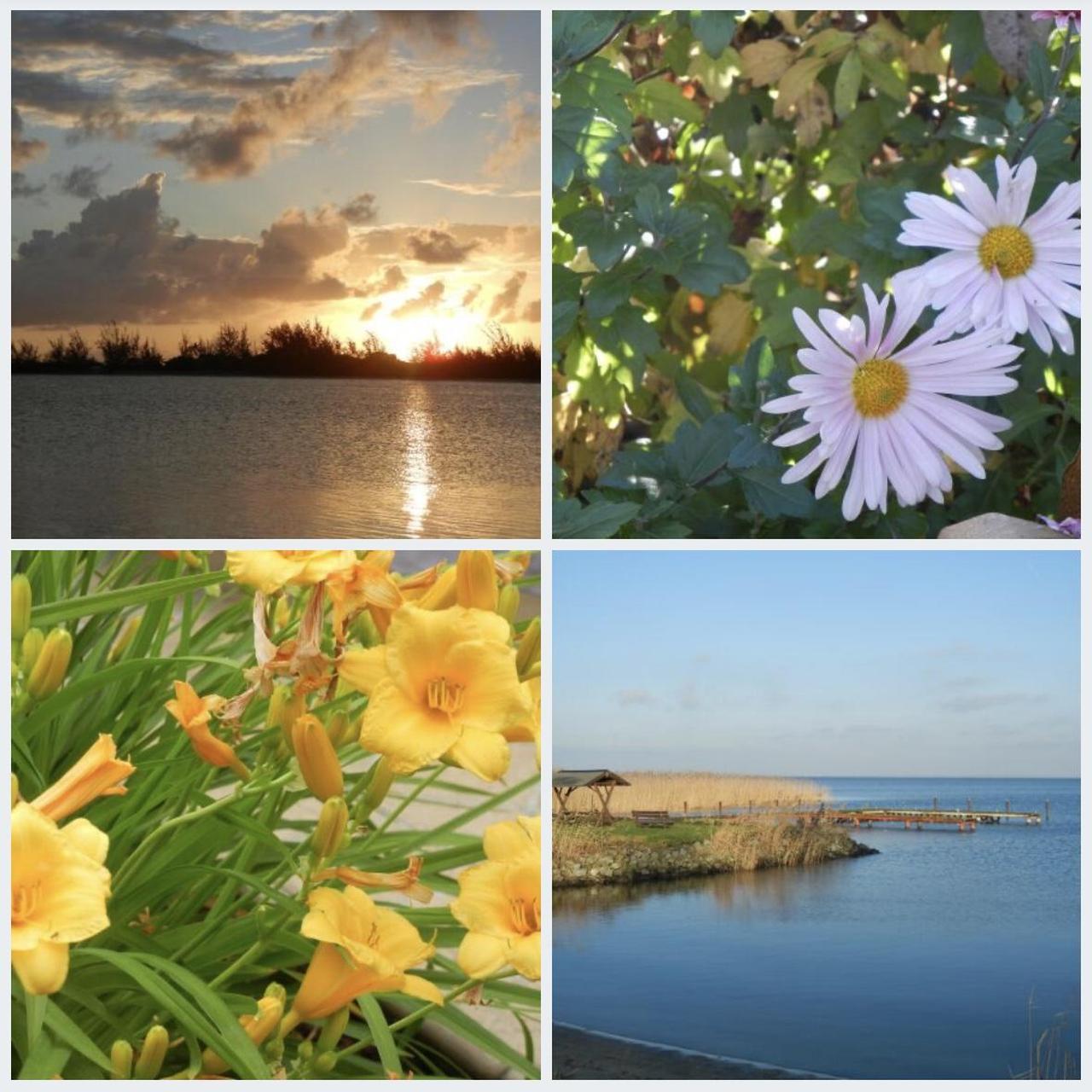 Nikon Red Cameras-and-accessories